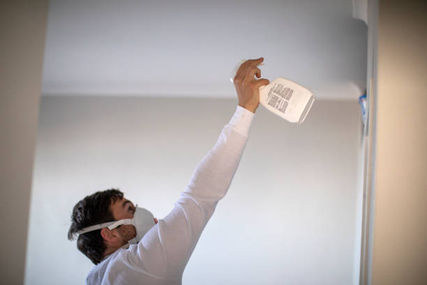 Best Mold Cleaning Services  in University Park, IL